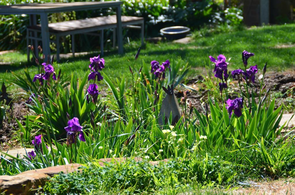 Dairyman'S Cottage Lyndoch Exterior foto