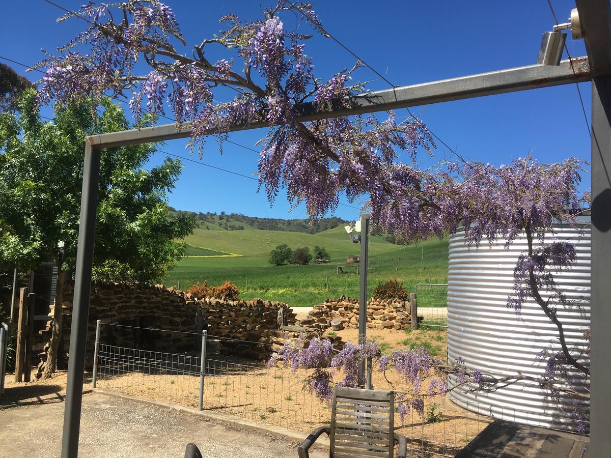Dairyman'S Cottage Lyndoch Exterior foto